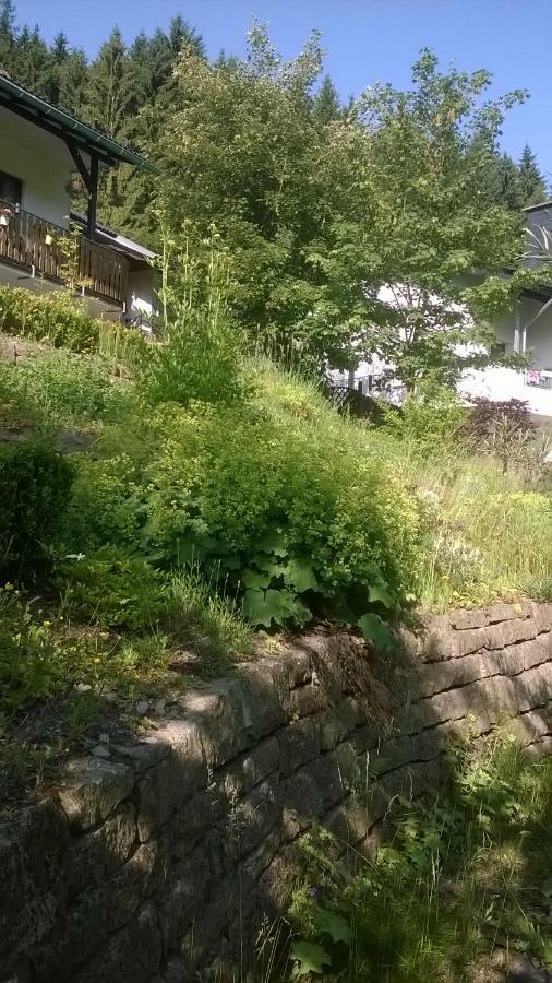 Haus Talblick Villa Schmallenberg Eksteriør billede