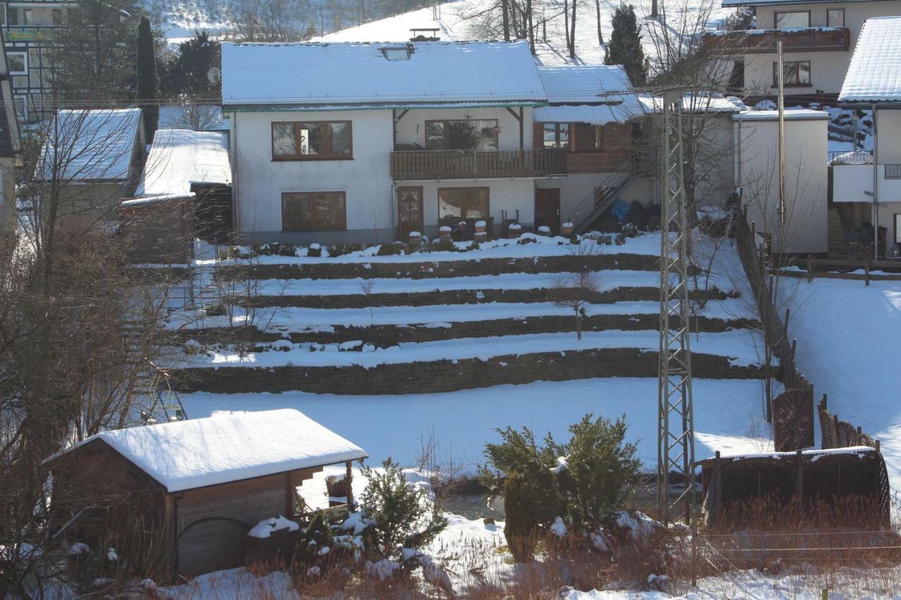 Haus Talblick Villa Schmallenberg Eksteriør billede